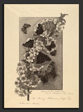 Anna Botsford Comstock, The Cherry Blossoms - High Tea, American, 1854 - 1930, c. 1890, wood