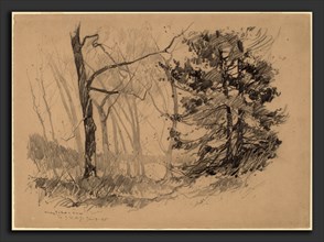 Charles Herbert Woodbury, Wood Interior, American, 1864 - 1940, 1920, graphite