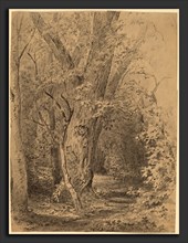 Walter Shirlaw, Tree and Foliage, American, 1838 - 1909, probably c. 1873, graphite on wove paper