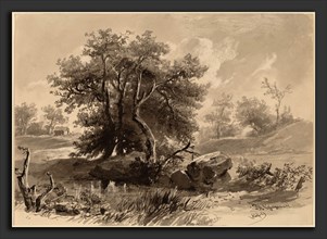 Régis FranÃ§ois Gignoux, The Trees, Bedford, New York, American, born France, 1816 - 1882, 1849,