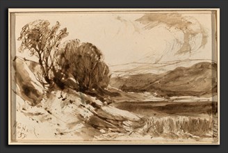 William Hart, Hilly Landscape with Trees, American, 1823 - 1894, 1855, pen and brown ink with brown