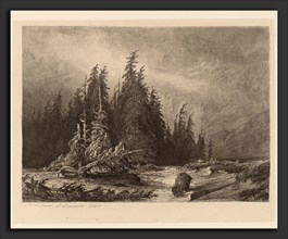 Alexandre Calame, Mountain PInes, Swiss, 1810 - 1864, 1840, etching on chine collé