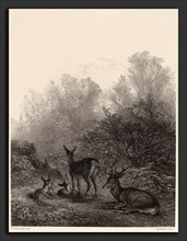 Karl Bodmer, Biches au repos, Swiss, 1809 - 1893, lithograph