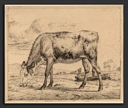 Adriaen van de Velde (Dutch, 1636 - 1672), Grazing Calf, c. 1657-1659, etching