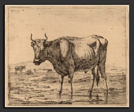 Adriaen van de Velde (Dutch, 1636 - 1672), Bull Standing in Water, c. 1657-1659, etching