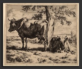 Adriaen van de Velde (Dutch, 1636 - 1672), Two Cows under a Tree, c. 1670, etching