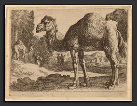 Herman van Swanevelt (Dutch, c. 1600 - 1655), Camels, etching