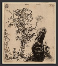 Rembrandt van Rijn (Dutch, 1606 - 1669), Sheet with Two Studies:  a Tree, and the Upper Part of a
