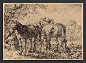 Pieter van Laer (Dutch, c. 1592 - 1642), Three Horses in a Field, 1636, etching and engraving on