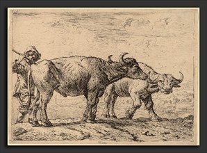 Pieter van Laer (Dutch, c. 1592 - 1642), Two Buffaloes and a Herdsman, etching and drypoint