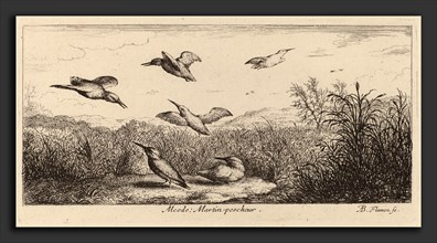 Albert Flamen (Flemish, c. 1620 - 1669 or after), Alcedo, The Kingfisher, etching