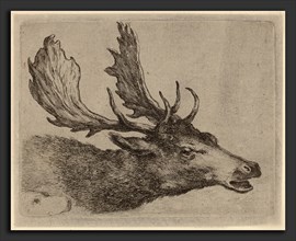 Stefano Della Bella (Italian, 1610 - 1664), Head of a Stag Turned Right, etching on laid paper