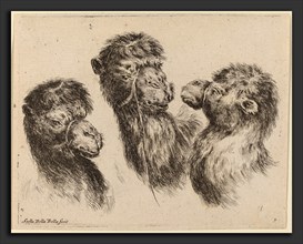 Stefano Della Bella (Italian, 1610 - 1664), Three Camel Heads, probably 1649, etching