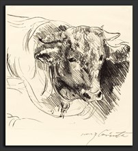 Lovis Corinth, Head of a Steer (Stierkopf), German, 1858 - 1925, 1912, lithograph in black on laid