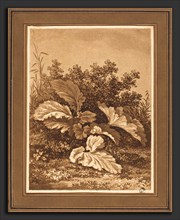 Christian August GÃ¼nther (German, 1759 - 1824), A Study of Leaves, c. 1796, aquatint and etching