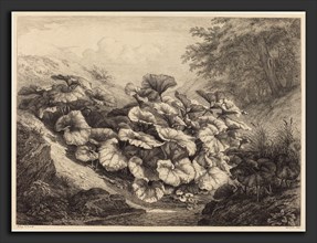 EugÃ¨ne Bléry (French, 1805 - 1887), Large Coltsfoot, 1843, etching and roulette in black on chine
