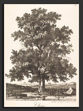 Antoine-Pierre Mongin (French, 1761-1762 - 1827), Chene (Oak Tree), 1816, lithograph