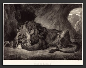EugÃ¨ne Delacroix (French, 1798 - 1863), Atlas's Lion (Lion de l'Atlas), 1829, lithograph