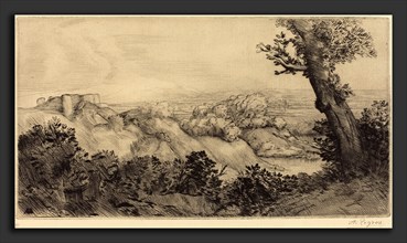 Alphonse Legros, Top of the Hill (Le haut de la colline), French, 1837 - 1911, drypoint