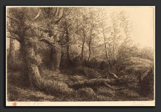 Alphonse Legros, In the Forest (Lisiere de foret), French, 1837 - 1911, etching