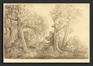 Alphonse Legros, Near the Woods, Veronne (Pres du bois, Veronne), French, 1837 - 1911, etching
