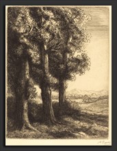 Alphonse Legros, Corner of a Wood (Coin d'un bois), French, 1837 - 1911, etching
