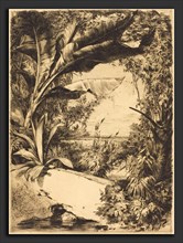 Jules-Ferdinand Jacquemart (French, 1837 - 1880), Plantes de Serre, 1863, etching in brown-black on