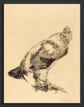 Félix Bracquemond (French, 1833 - 1914), The Old Cock, 1882, etching