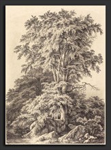 EugÃ¨ne Bléry (French, 1805 - 1887), Beech Grove, 1840, etching with drypoint and roulette on chine