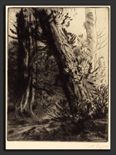 Alphonse Legros, Edge of a Brook (Bord de ruisseau), French, 1837 - 1911, drypoint