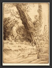 Alphonse Legros, Edge of a Brook (Bord de ruisseau), French, 1837 - 1911, drypoint in brown