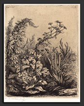 EugÃ¨ne Bléry (French, 1805 - 1887), La petite berle aux liserons (Small Water-parsnip with