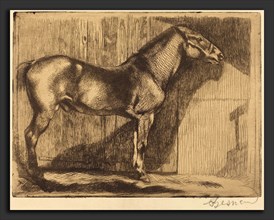 Albert Besnard (French, 1849 - 1934), Pony (Le poney), 1892, etching