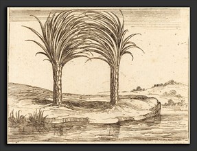 Jacques Callot (French, 1592 - 1635), Two Palm Trees, etching