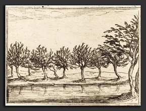 Jacques Callot (French, 1592 - 1635), Willows by the Water's Edge, 1628, etching