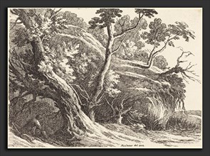 Richard Cooper II (British, 1740 - after 1814), Landscape with Large Trees, 1802, pen-and-tusche
