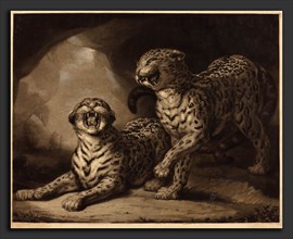 Samuel William Reynolds I after James Northcote (British, 1773 - 1835), Leopards, 1798, mezzotint