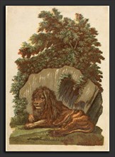 John Baptist Jackson (English, 1701 - c. 1780), The Lion, 1754, chiaroscuro woodcut on laid paper