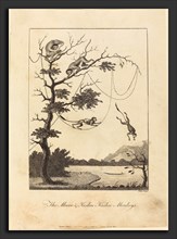 William Blake after John Gabriel Stedman (British, 1757 - 1827), The Mecoo & Kisbee Kishee Monkeys,