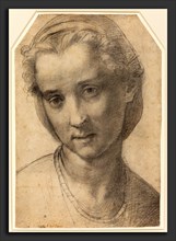 Andrea del Sarto (Italian, 1486 - 1530), Head of a Woman, c. 1515, black chalk on laid paper