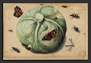 Netherlandish 17th Century, Head of Cabbage with Insects, early 17th century, watercolor