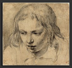 Dutch 17th Century, Head of a Young Man [recto], c. 1650, black chalk on laid paper