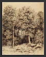 Karl Theodor Reiffenstein (German, 1820 - 1893), A Copse of Trees, 1863, brown and black pen and