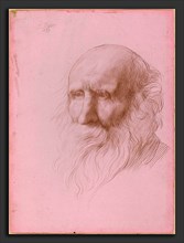 Alphonse Legros (French, 1837 - 1911), Head of an Old Man, 1897, metalpoint on pink bristol board