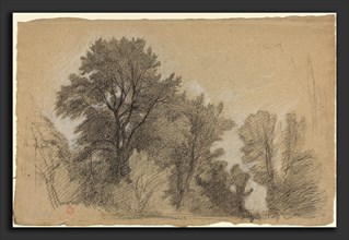 Jean Achille Benouville (French, 1815 - 1891), Edge of a Wood, c. 1840, black and white chalk on
