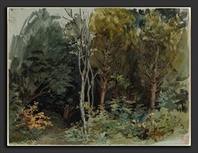 EugÃ¨ne Delacroix (French, 1798 - 1863), The Edge of a Wood at Nohant, c. 1842-1843, watercolor