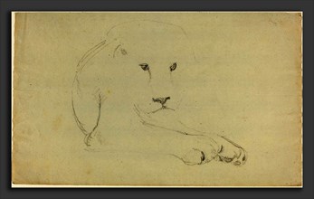 John Flaxman (British, 1755 - 1826), Lion, graphite