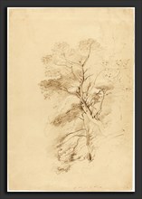 John Linnell (British, 1792 - 1882), A Beech Wood, 1815, graphite heightened with white chalk on