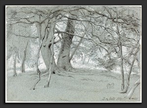 Sir William Blake Richmond (British, 1842 - 1921), Trees at Box Hill, 1860, black chalk and