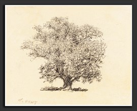 William Henry Hunt (British, 1790 - 1864), A Tree in Full-Leaf, graphite on wove paper